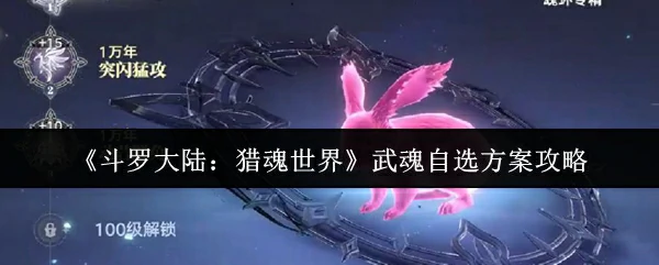 武魂自选方案攻略