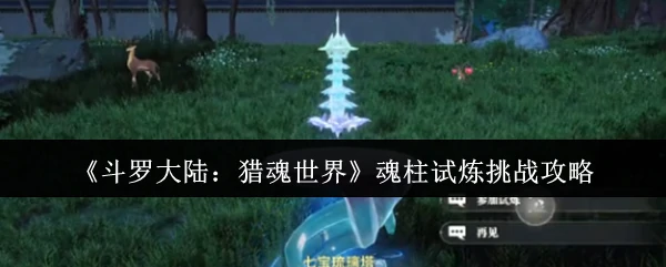 魂柱试炼挑战攻略