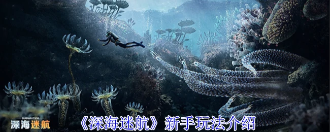 幽灵利维坦击杀方法介绍
