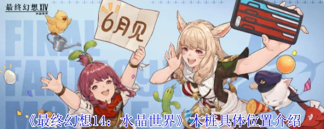 木桩具体位置介绍