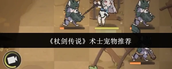 术士宠物推荐