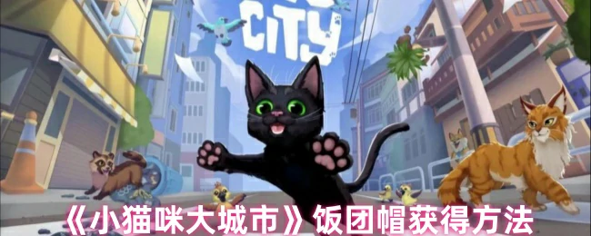 饭团帽获得方法