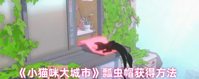 瓢虫帽获得方法