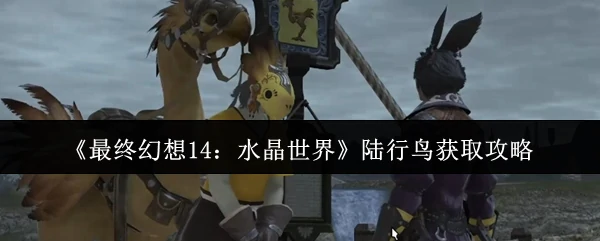 陆行鸟获取攻略
