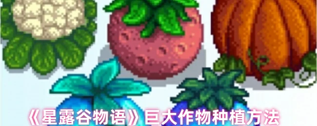 巨大作物种植方法