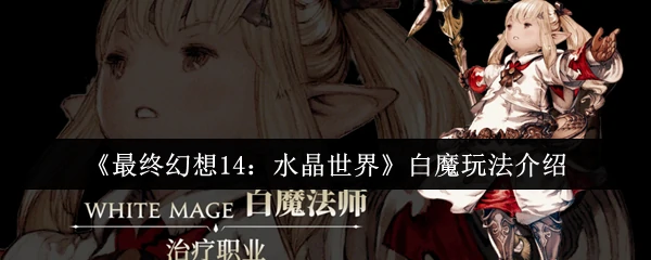 白魔玩法介绍