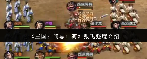 张飞强度介绍
