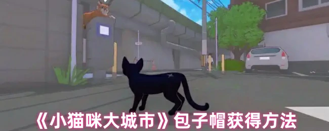 包子帽获得方法