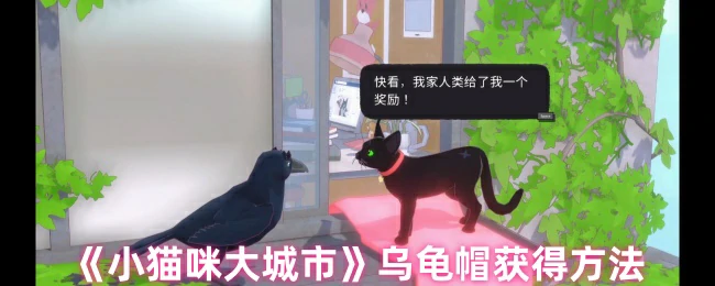 乌龟帽获得方法