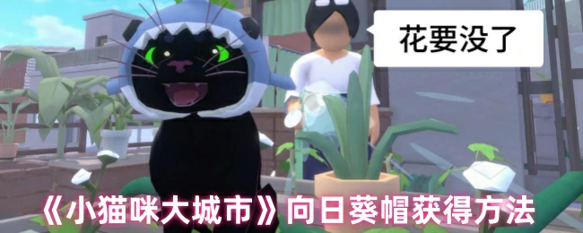 向日葵帽获得方法