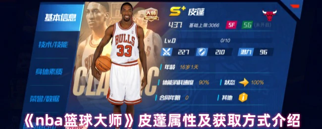 皮蓬属性及获取方式介绍
