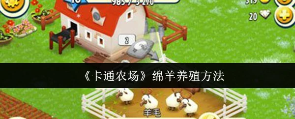 绵羊养殖方法