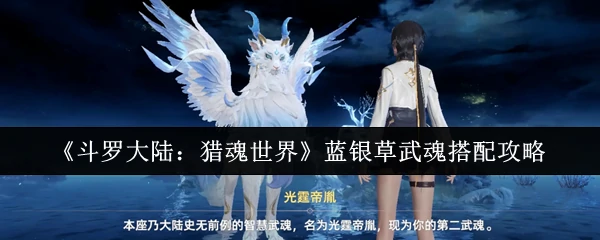 蓝银草武魂搭配攻略