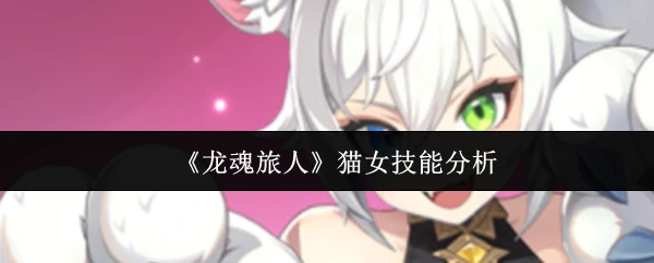 猫女技能分析