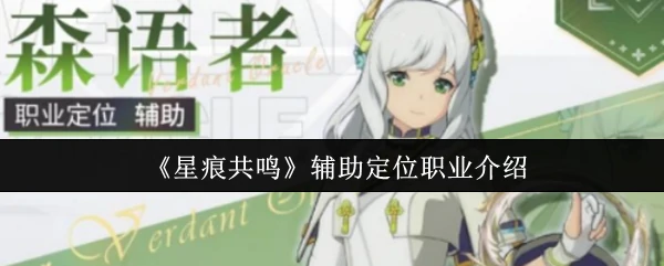 辅助定位职业介绍