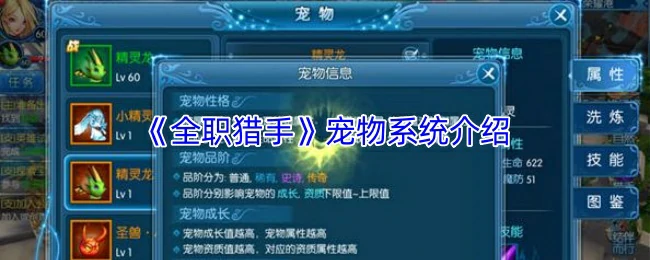 宠物系统介绍