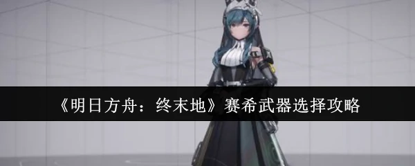 赛希武器选择攻略