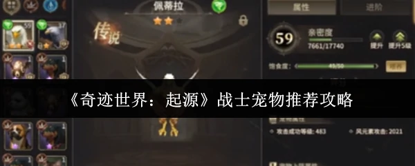 战士宠物推荐攻略