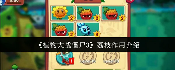 荔枝作用介绍