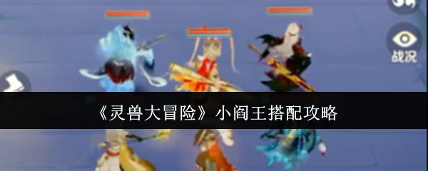 小阎王搭配攻略