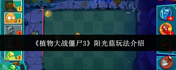阳光菇玩法介绍
