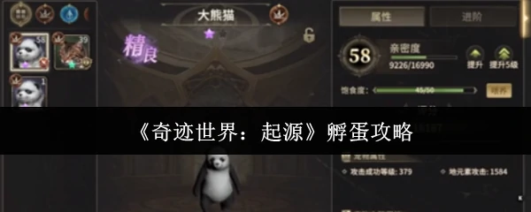 孵蛋攻略