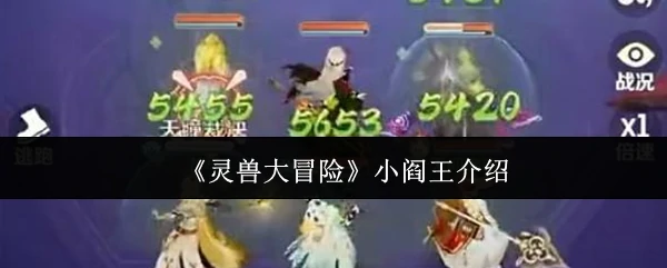 小阎王介绍