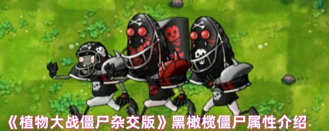 黑橄榄僵尸属性介绍