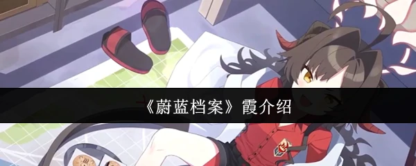 霞介绍