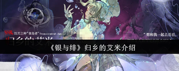 归乡的艾米介绍