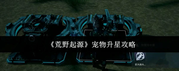 宠物升星攻略