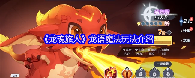 龙语魔法玩法介绍