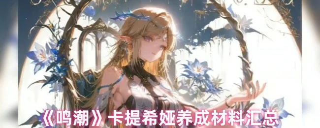 卡提希娅养成材料汇总