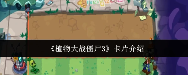 卡片介绍