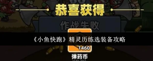 精灵历练选装备攻略
