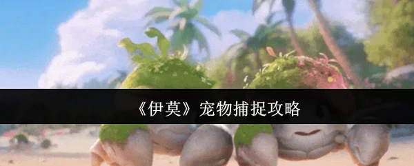 宠物捕捉攻略