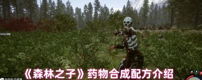 药物合成配方介绍
