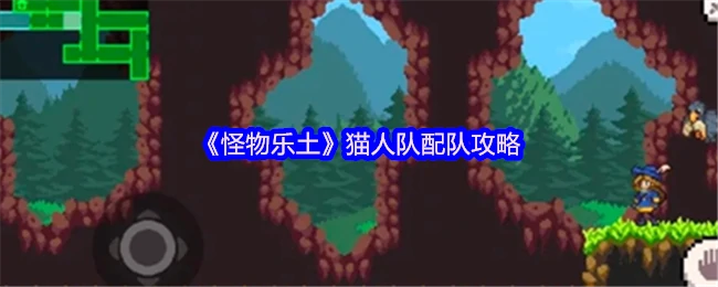 猫人队配队攻略