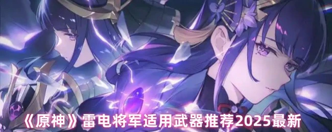 雷电将军适用武器搭配攻略2025最新