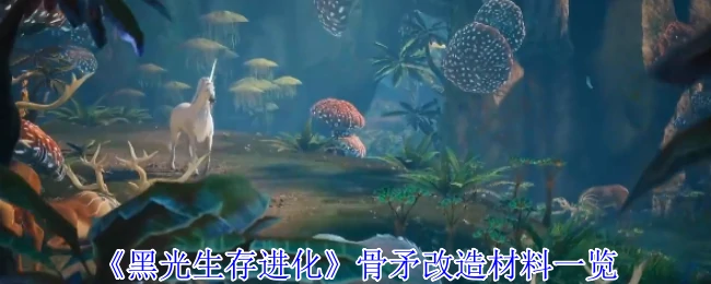 骨矛改造材料一览