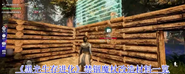 禁锢魔杖改造材料一览