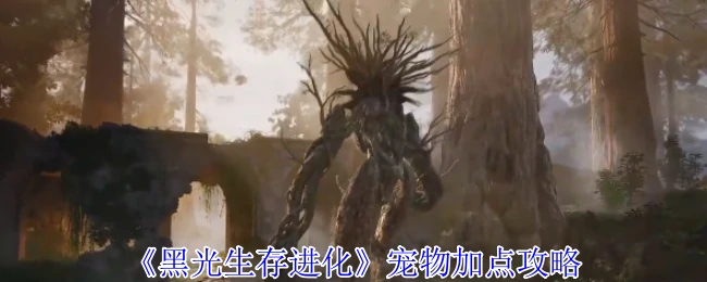 宠物加点攻略