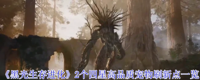 2个四星高品质宠物刷新点一览