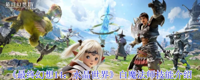 白魔法师技能介绍