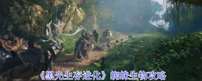 蜘蛛生物攻略