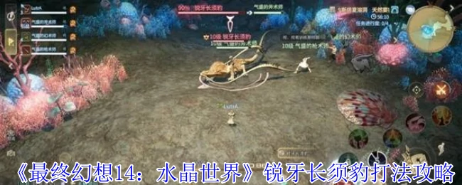 锐牙长须豹打法攻略