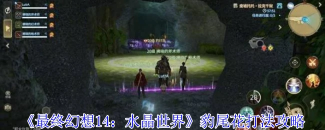 豹尾花打法攻略