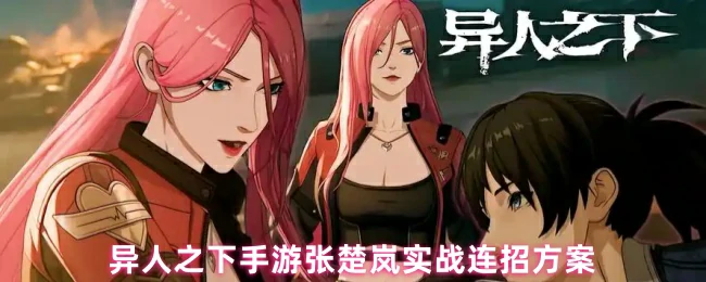 张楚岚实战连招方案