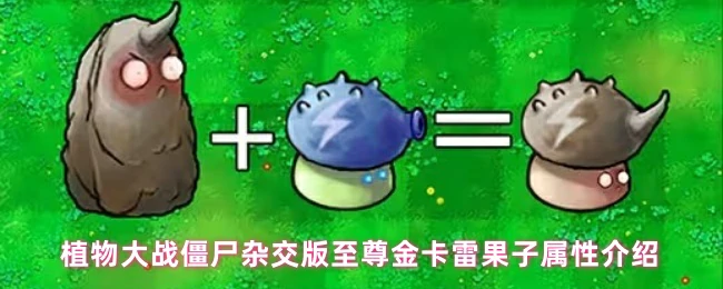 至尊金卡雷果子属性介绍