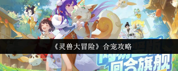 合宠攻略